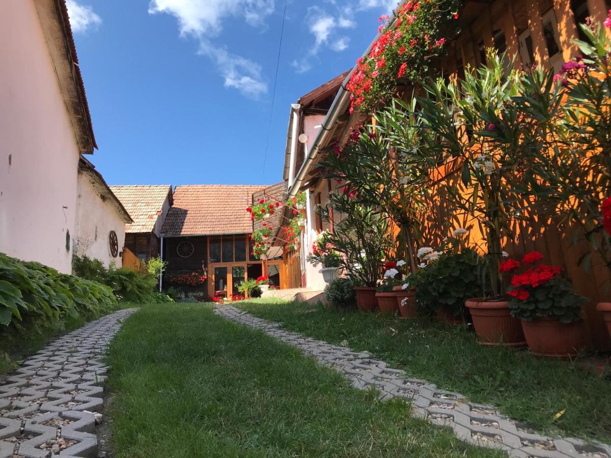 Hotel Casa Kelemen Irén Rimetea Exterior foto